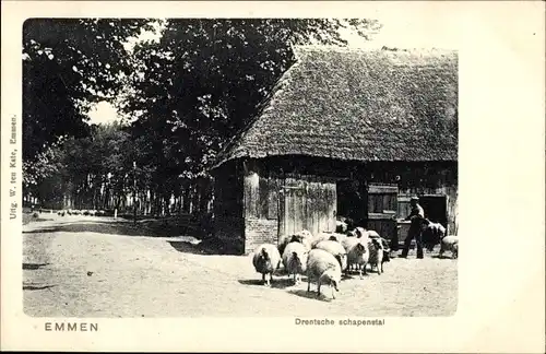 Ak Emmen Drenthe, Drentsche schapenstal