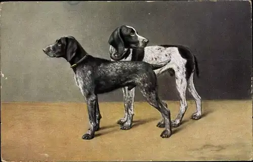 Künstler Ak Zwei Hunde, Dunkles Fell, Schwarzweiß