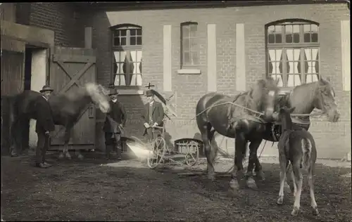 Foto Ak Pferde mit Fohlen vor einem Gebäude, Männer