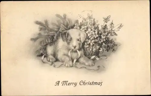Ak Glückwunsch Weihnachten, Hund mit Schleifenband