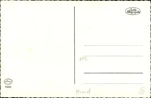 Ak Liegender Terrier mit Halsband, Hundeportrait