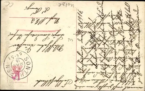 Ak Tierportrait, weiße Katze