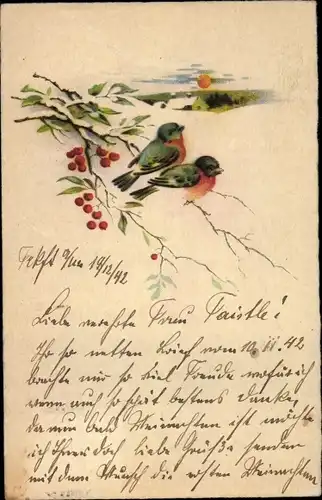 Ak Zwei kleine Vögel auf einem Zweig, Winter