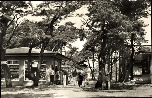 Ak Ostseebad Dierhagen, Ladenstraße am Strand