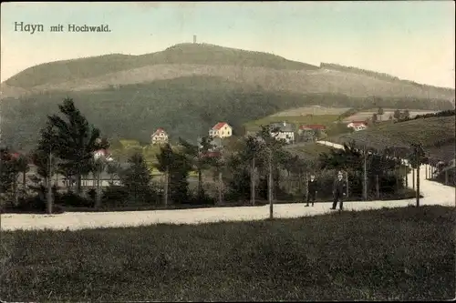 Ak Hayn Oybin Oberlausitz, Panorama mit Hochwald