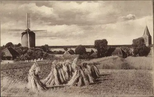 Ak Zeddam Gelderland Niederlande, Ortsansicht mit Windmühle, Strohgarben