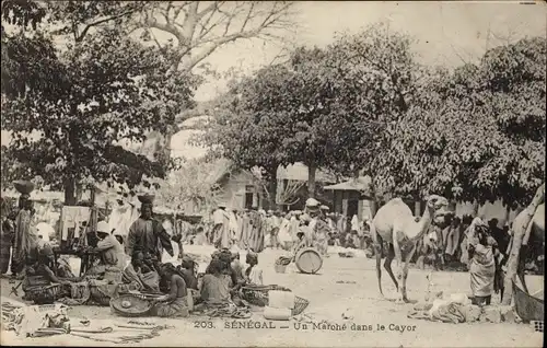 Ak Senegal,Un Marché dans le Cayor