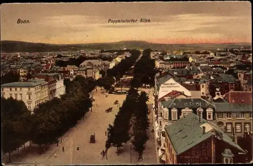 Ak Bonn am Rhein, Poppelsdorfer Allee
