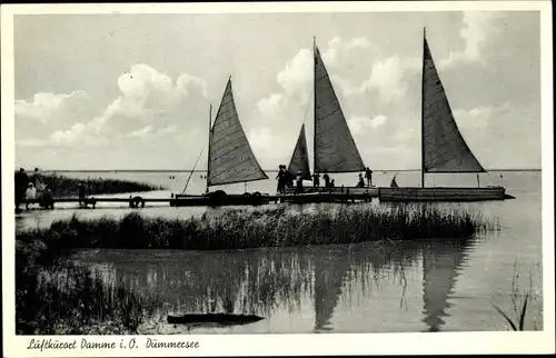 Ak Damme am Dümmer See, Partie am Seeufer, Segelboote am Steg