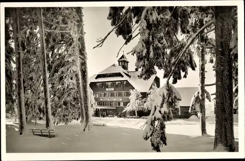 Ak Kniebis Freudenstadt im Schwarzwald, Kurhotel Kniebis-Lamm im Schnee