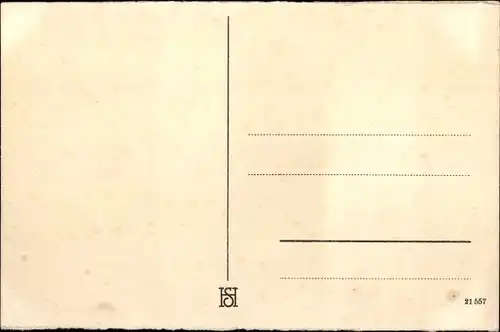 Ak Rüdesheim am Rhein, Weinberge, Ortsansicht
