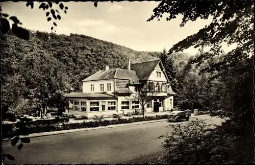 Ak Kohlstädt Schlangen im Teutoburger Wald, Waldhotel Bärental