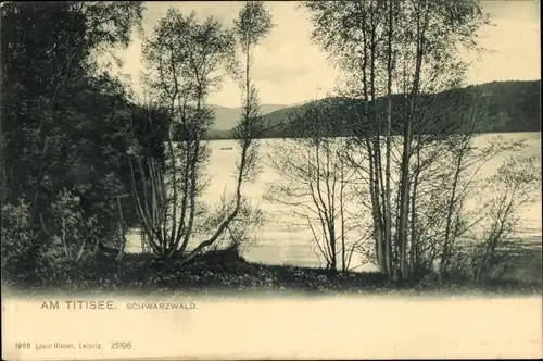 Ak Titisee Neustadt im Breisgau Hochschwarzwald, Am Titisee