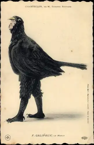 Ak Schauspieler F. Galipaux, Chantecler, Edmond Rostand, le Merle