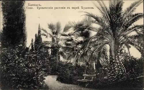 Ak Sotschi Russland, Park Hudekova, Tropische Pflanzen