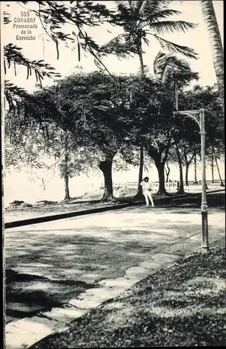 Ak Conakry Guinea, Promenade de la Corniche