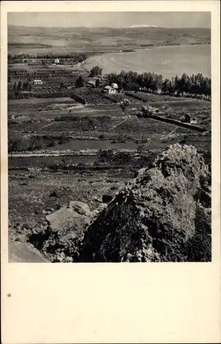 Ak Migdal Israel, Orange Groves