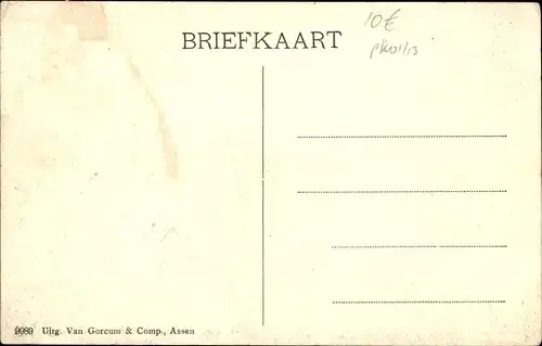 Ak Assen Drenthe Niederlande, Wilhelminastraat