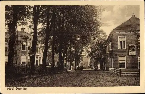 Ak Borger Mooi Drenthe Niederlande, Straßenpartie mit Hotel Bieze