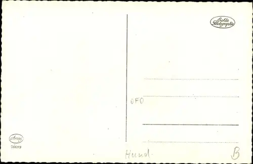 Ak Hund mit Halsband