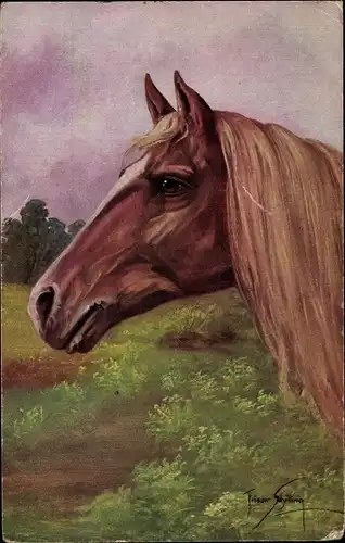 Künstler Ak Pferdekopf, Tierportrait