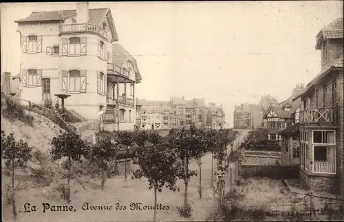 Ak La Panne De Panne Westflandern, Avenue des Mouettes