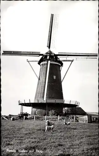 Ak Neede Berkelland Gelderland, Molen o/d Berg