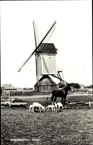Ak Moergestel Nordbrabant Niederlande, Molen