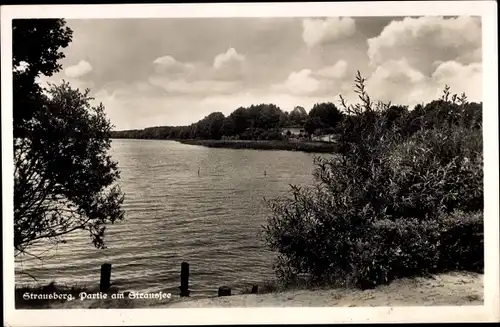 Ak Strausberg in der Mark, Partie am Straussee