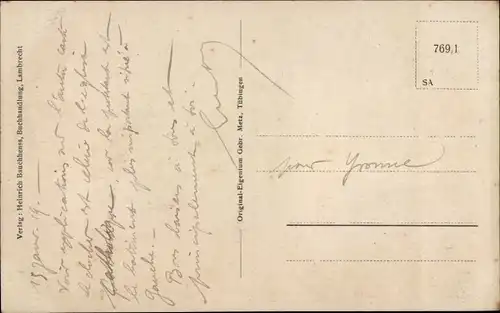 Ak Lambrecht in der Pfalz, Panorama vom Ort