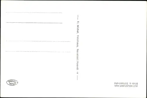 Ak Neustadt an der Haardt Neustadt an der Weinstraße, Blick auf die Stiftskirche