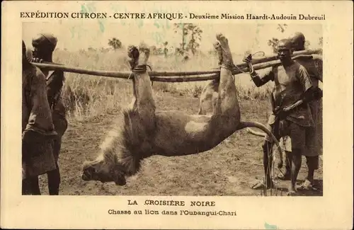 Ak L'Oubangui Chari Zentralafrikanische Republik, Croisiere Noire, Chasse au lion, Mission Haardt