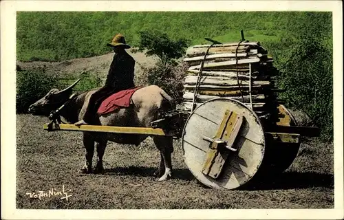 Ak Xieng Khouang Laos, Büffelgespann