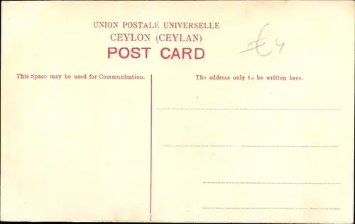 Ak Colombo Ceylon Sri Lanka, Snake Charmer, Schlangenbeschwörer