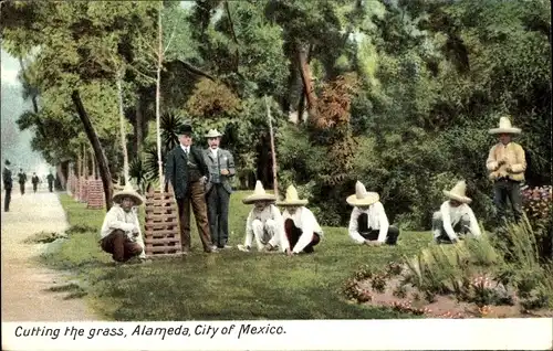 Ak Mexiko, Cutting the grass, Alameda, City of Mexico