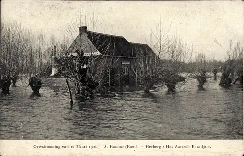 Ak Hamme Ostflandern, Overstrooming van 12 Maart 1906, Herberg Het Aardsch Paradijs