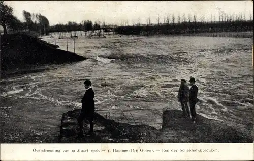 Ak Hamme Ostflandern, Overstrooming van 12 Maart 1906, Een der Scheldedijkbreuken