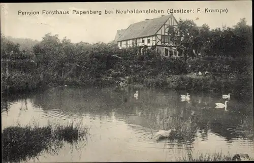 Ak Neuhaldensleben Haldensleben Börde, Pension Forsthaus Papenberg