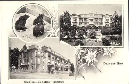 Ak Bern Stadt Schweiz, Krankenpension Victoria, Sanatorium, Bärenzwinger