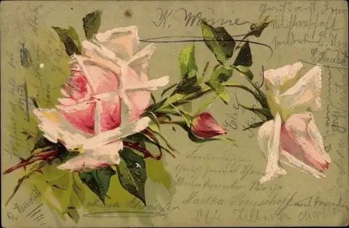 Präge Litho Rosa Rosenblüten