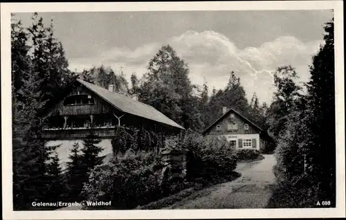 Ak Gelenau im Erzgebirge Sachsen, Partie am Waldhof