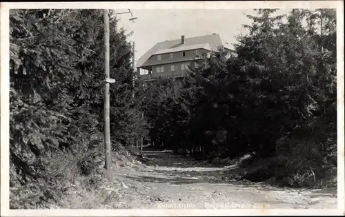 Ak Oybin in Sachsen, Waldpartie mit Blick zur Hochwaldbaude, Besitzer W. Kalauch