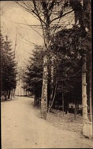 Ak Aachen in Nordrhein Westfalen, Waldweg, Partie an der Waldschenke