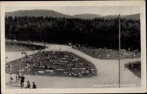 Ak Großschönau im Kreis Görlitz, Partie im Waldstrandbad, Badegäste, Liegewiese