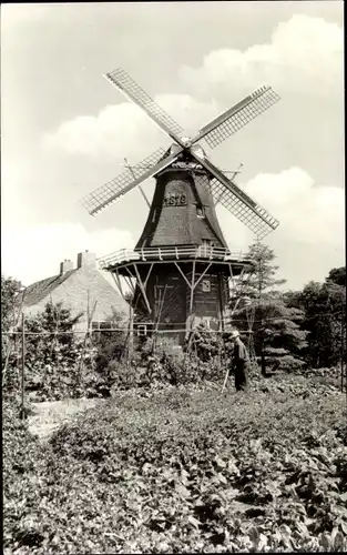 Ak Norg Drenthe, korenmolen Noordenveld