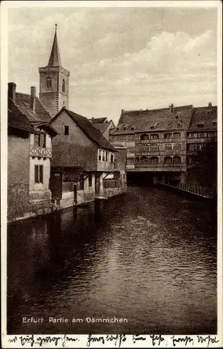 Ak Erfurt in Thüringen, Partie am Dämmchen, Kirchturm, Häuser