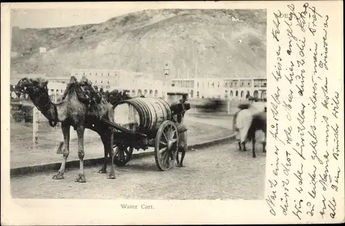 Ak Aden Jemen, Water cart, Kamel