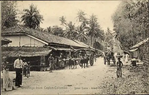 Ak Colombo Ceylon Sri Lanka, Street Scene, Grand Pass, indigenes, Ochsenfuhre