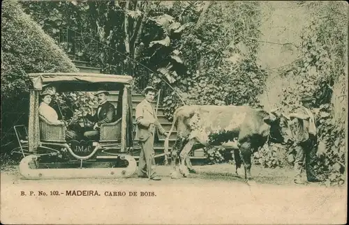 Ak Insel Madeira Portugal, Carro de Bois