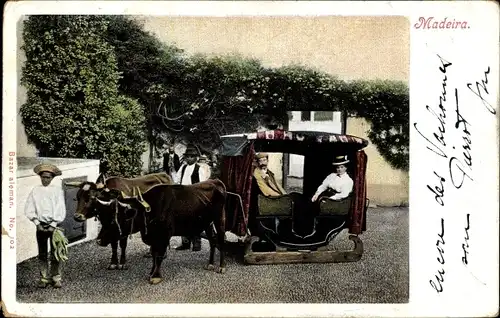 Ak Insel Madeira Portugal, Carro de bois, Ochsenschlitten